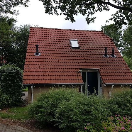 Vakantiepark Timmerholt Hotell Westerbork Eksteriør bilde
